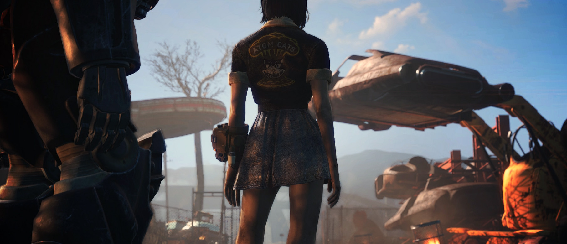 Wasteland heroines replacer fallout 4 фото 114